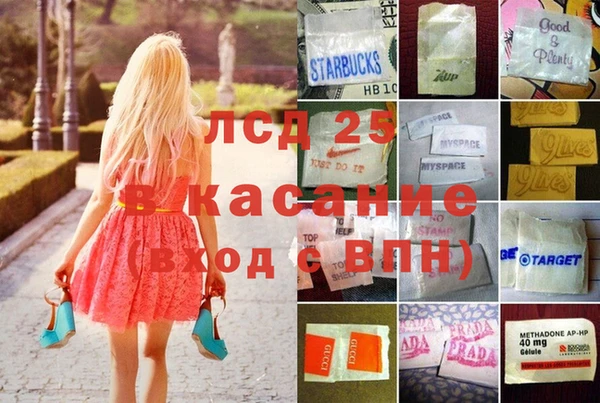 спиды Елизово