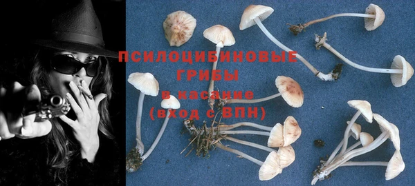 герыч Ельня