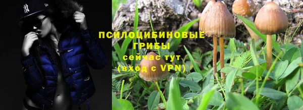 меф Фурманов