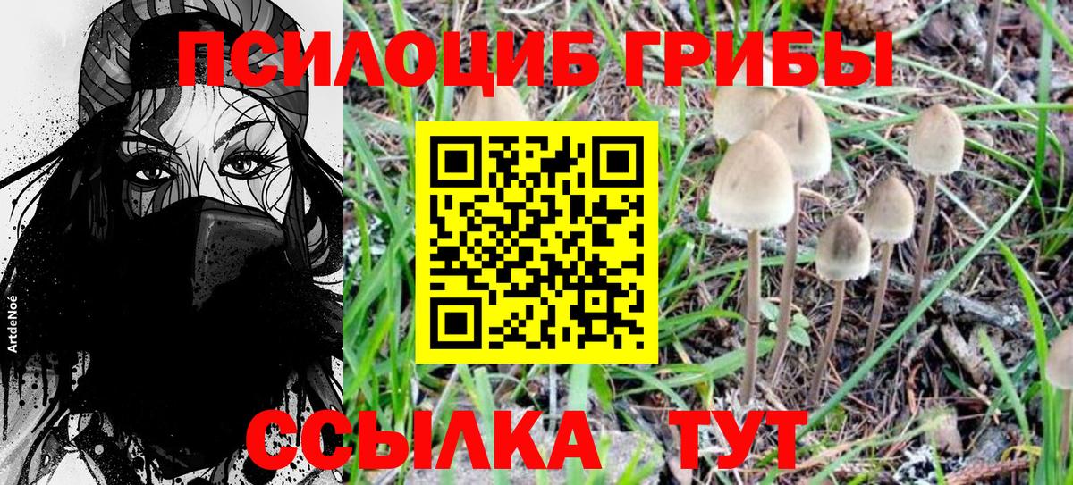 Галлюциногенные грибы MAGIC MUSHROOMS  Вход с VPN  Нурлат 
